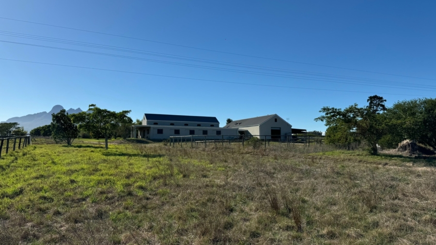 7 Bedroom Property for Sale in Stellenbosch Farms Western Cape